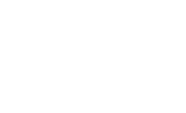La Palazzian Brown Logo